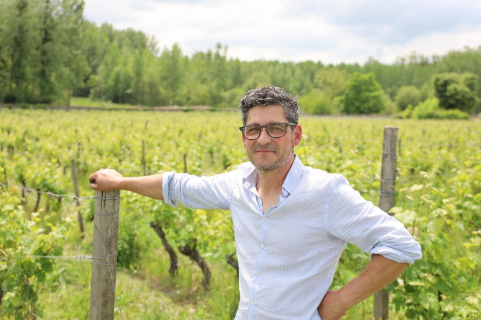 
                            Vignes essai gel